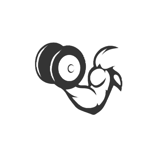 Faizan Fitness Logo